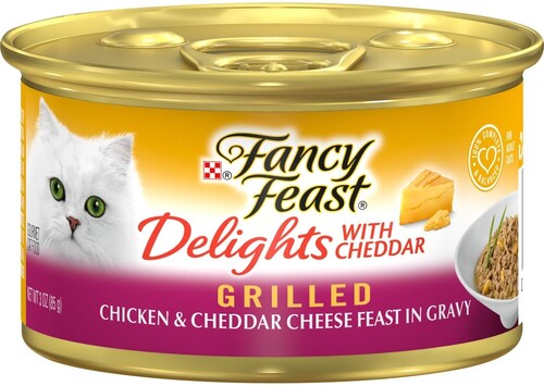 체다 구운 치킨을 곁들인 멋진 잔치 그레이비 통조림 고양이 사료에 담긴 체다 치즈 잔치